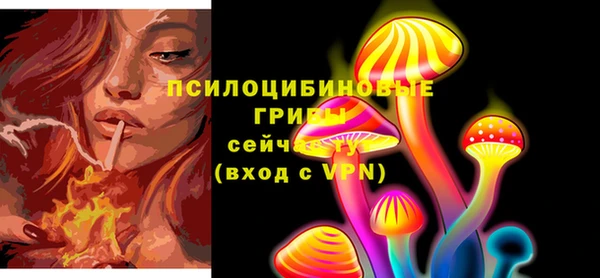 MESCALINE Аркадак