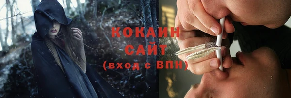 прущие крисы Арсеньев